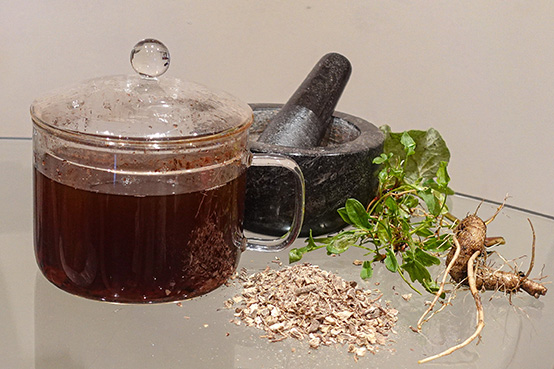 Caisse Ancestral Tea - Essiac Tea